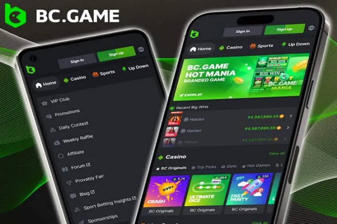 BC Game Promoting Responsible Gambling for a Safe Gaming Experience
